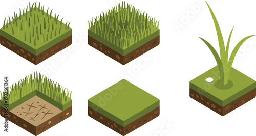 Isometric grass terrain block illustration featuring sparse blades, dense turf, cracked soil, watered sprouts, flat green surfaces, and single tall plant growth for landscaping and game design