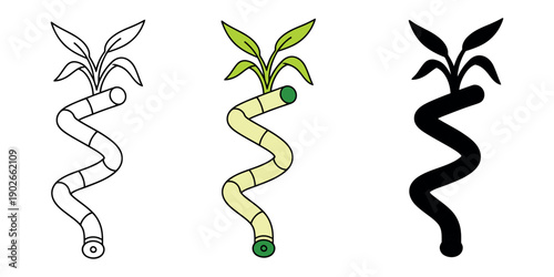 Vector icon of a spiral lucky bamboo stalk with green leaves. Includes outline, flat color, and silhouette versions for spa and wellness design.