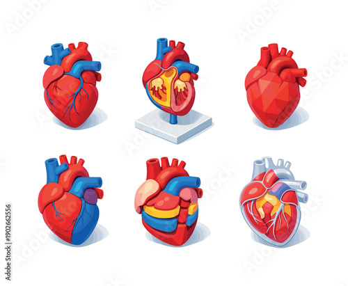 3D Heart Models Grid. 3D heart models. Isometric flat vector icons set of 3D heart models: plastic anatomical heart, resin teaching heart, printed 3D heart