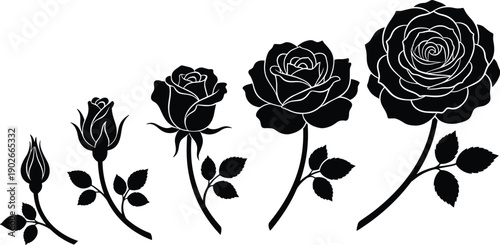 Set of Rose Flower Growth Stages Silhouette Icons, From Closed Bud to Full Bloom, Floral Nature Vector Illustration for Gardening Concepts