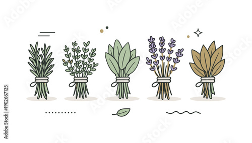 Minimal Herb Arrangement. Minimal dried winter herbs set. Several herb bundles neatly aligned in a row with muted green and brown tones, soft stems and tied