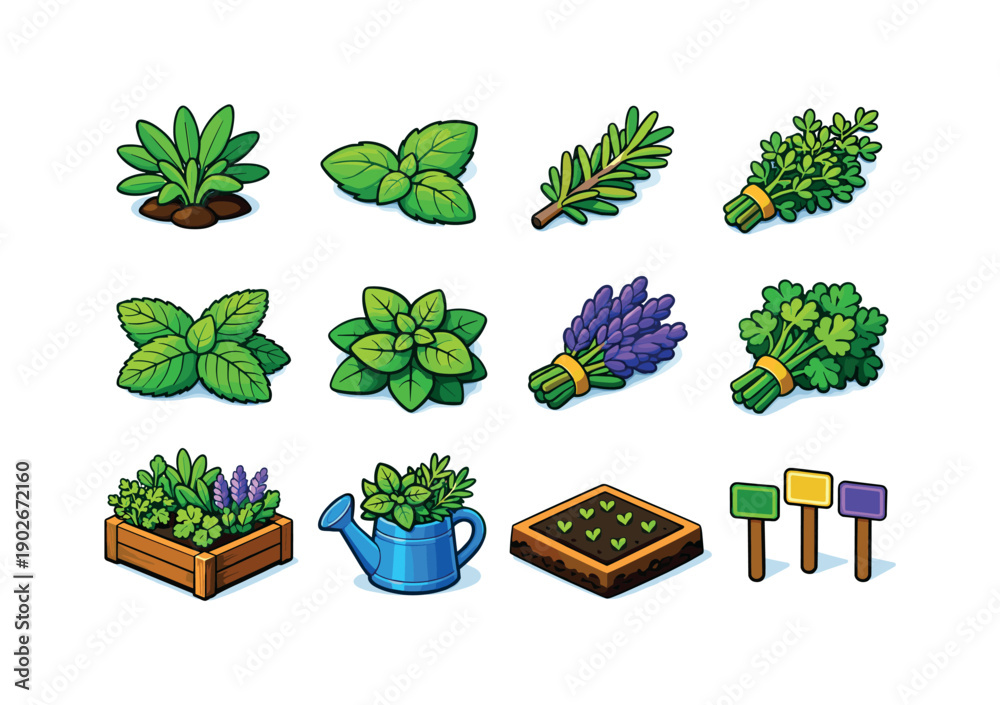 Fototapeta premium Garden herbs. Colorful isometric vector icons set of garden herbs: sage plant, basil leaves, rosemary sprig, thyme bunch, mint leaves,