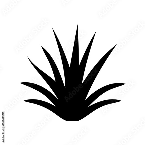 Silhouette of a spiky plant against a plain background Vector, illustration