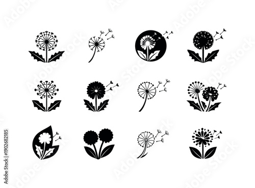 Dandelions. Icon set. Set Logo of dandelions: dandelion stem and leaves. harmonious logo variations of the same emblematic concept, each with