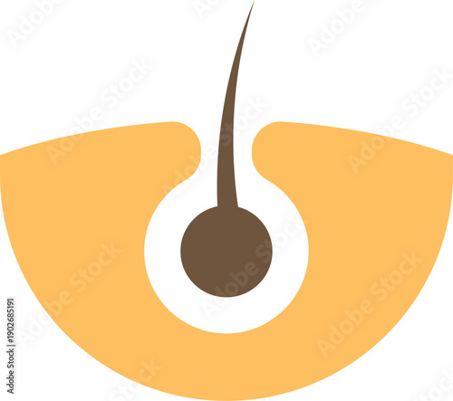 Hair follicle color icon. Skin product symbol