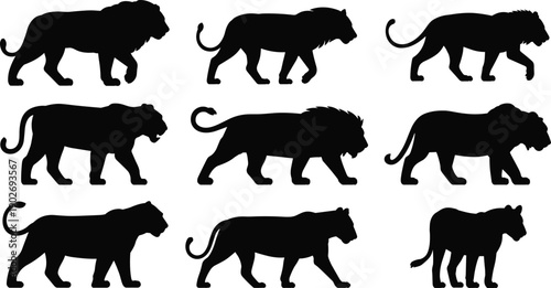 Lion, silhouette, animal, wildlife, predator, bigcat, jungle, safari, strength, power, nature, mammal, illustration, vector, feline, wild, carnivore, graphic, symbol, icon