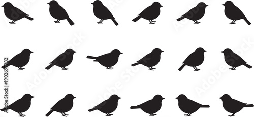 Collection of black silhouette birds standing in various relaxed poses