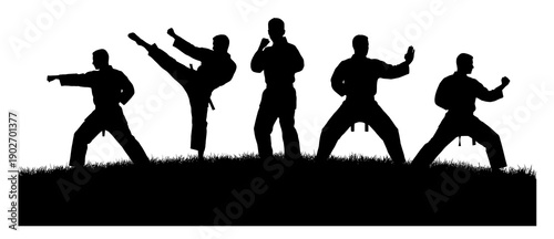 Black silhouettes of five martial artists performing various combat stances and high kicks on a grassy horizon against a white sky