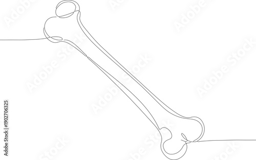 Line Art Single Continuous Stroke Bone Outline Illustration Drawing
