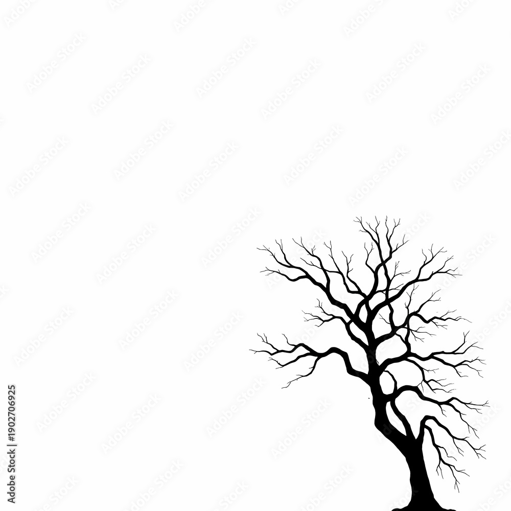 Fototapeta premium Dead tree silhouette black branch isolated on white