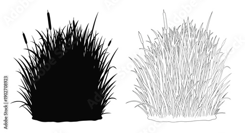 Black and white illustration of tall grasses or reeds side by side