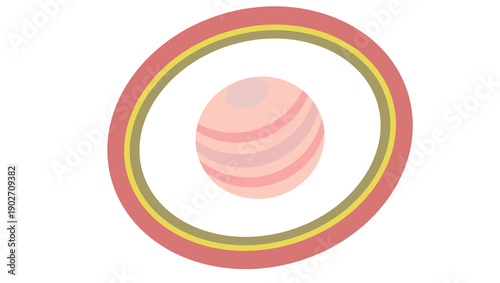 Stylized Illustration of Planetary Internal Structure