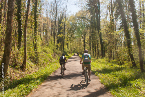 cycliste sur une route forestière au printemps, sortie vélo par une journée ensoleillée