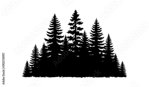 Evergreen pine forest silhouette vector illustration black conifer tree cluster isolated on white background