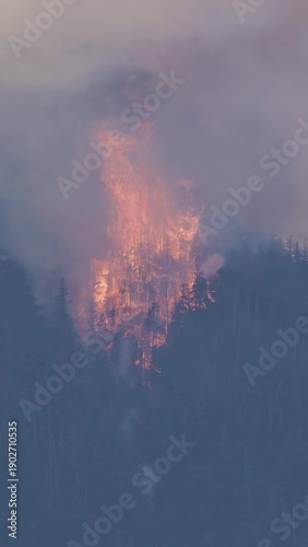 Wallpaper Mural Massive Wildfire Engulfs Forest With Smoke And Flames In Hope, British Columbia Torontodigital.ca