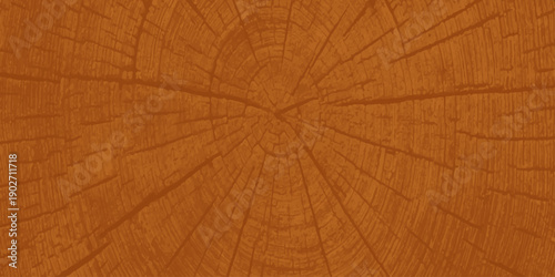 Aged brown wooden board texture featuring a natural timber pattern with a rough vintage grunge surface and a close-up of an old tree trunk material background