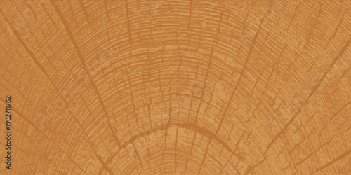 A closeup macro of a natural brown wood texture background shows the circular pattern of old tree rings on a cut timber log trunk with a weathered material design