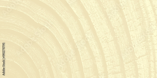 Vintage paper and grunge background with stripes and space for text features a textured brown wood and fabric design with spiral lines and a macro surface material for a nature wallpaper