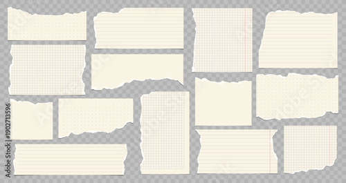 Set of torn notebook paper pieces with grid, lines and dots, realistic ripped stationery sheets isolated on transparent background.