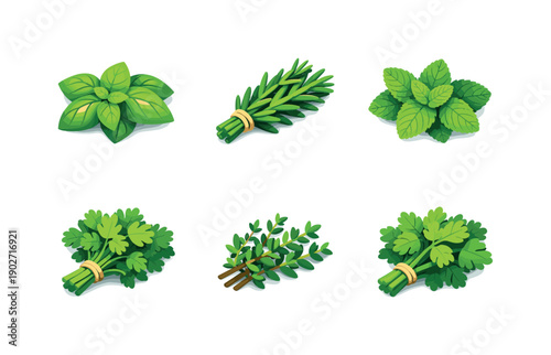Fresh herbs. Isometric flat vector icons set of fresh herbs: basil leaves bunch, rosemary sprig bundle, mint leaves cluster, parsley herb
