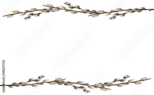 Spring frame made of pussy willow branches isolated on white background. Horizontal spring border symbolizing Easter, spring awakening and renewal, with copy space.