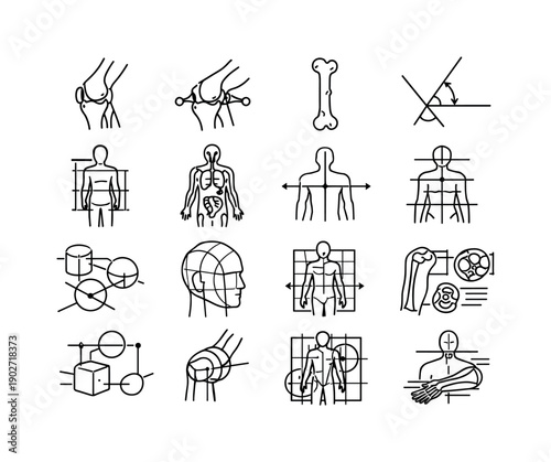 Anatomical Reference Details. Line icon set of Anatomical Reference Details: joint hinge detail, muscle attachment points, bone landmarks,