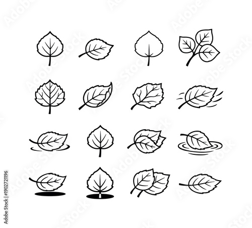 Aspen Leaves. Line icon set of Aspen Leaves: single leaf, fallen leaf, leaf outline, leaf cluster, leaf veins detail, curled leaf, dried