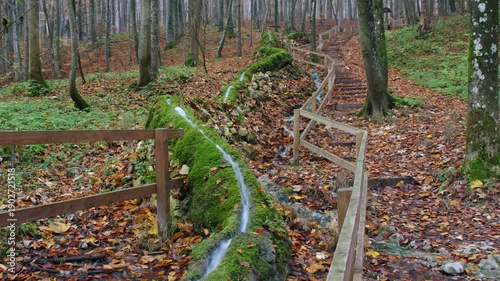 Moosbewachsene Steinerne Rinne im herbstlichen Wald bei Wolfsbronn im Altmühltal