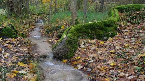 moosbewachsene Steinerne Rinne bei Rohrbach im Altmühltal