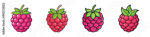 Four Raspberries in Various Stages of Ripeness Vector Illustration