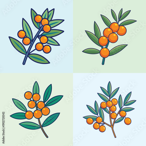 Sea buckthorn branch with orange berries flat design vector illustration