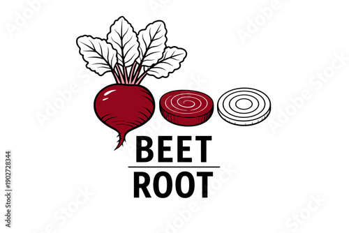 Illustration of whole and sliced beetroot with leaves on white background