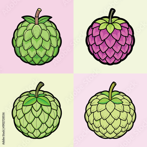 Sugar Apple Fruit Variations Flat Design Vector Illustration
