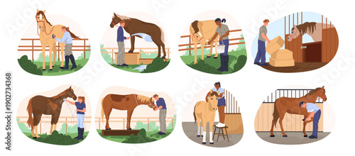 Horse care on farm. Vector grooming and feeding, watering and veterinary checkups of stallions, mares and foals. Colts in barns, paddocks and pastures, being brushed, saddled or led by caretakers