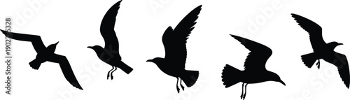 Flying bird silhouettes collection, seagull and wild birds in flight, black animal vector illustration set for nature and design use