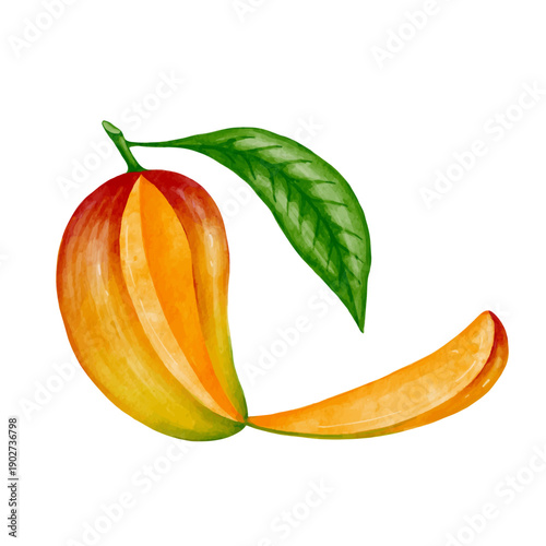 Juicy, ripe tropical mango fruits. Vector graphics.