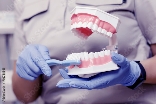 Εκτύπωση καμβά Dental professional demonstrating proper tooth brushing technique using a dental