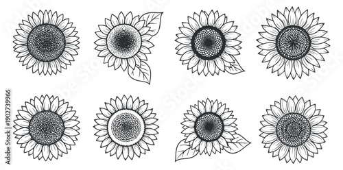 A collection of eight black and white outline sunflowers in a minimalist vector style, perfect for botanical illustrations and floral designs