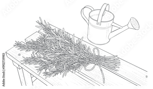 A bunch of herbs tied together on a wooden table with a watering can in minimalist line art style, ideal for gardening and culinary projects