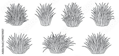 A collection of various grass illustrations in black and white outline vector style, ideal for nature-themed designs