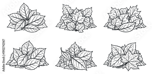A collection of hand-drawn leaves in black and white outline vector style, ideal for nature-themed designs