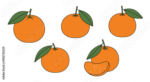 Tangerine Line art creative concept