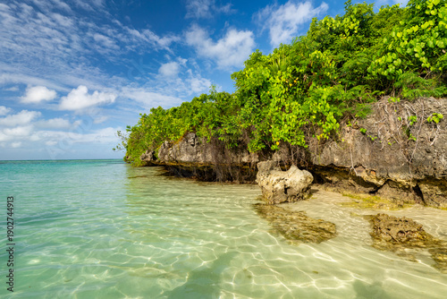 Bild auf Leinwand Mauritius, Ile aux Aigrettes - 15 April 2022 - Crystal clear water and lush vege