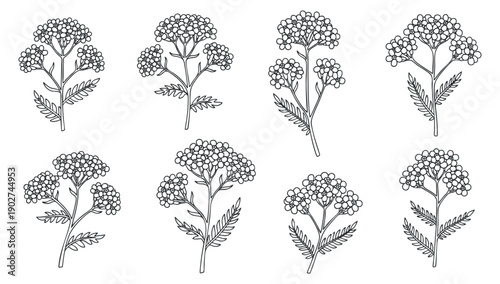 A collection of eight floral illustrations featuring flowering plants in a minimalist black outline style, perfect for nature-themed designs and decor