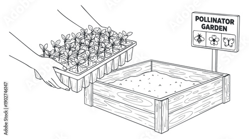 A gardener planting seedlings in a pollinator garden with a sign in black and white outline vector style, perfect for environmental projects