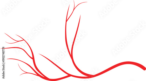 Red blood vessel. Eye vein. Artery drawing