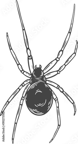 Black spider, view from above engraving isolated, Halloween decoration