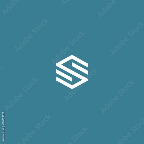 Letter S logo icon flat vector design