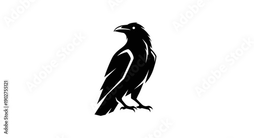 Black raven silhouette on white background