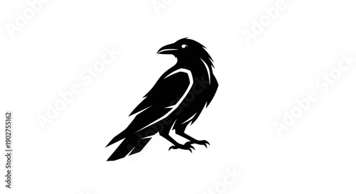 Black raven silhouette on white background